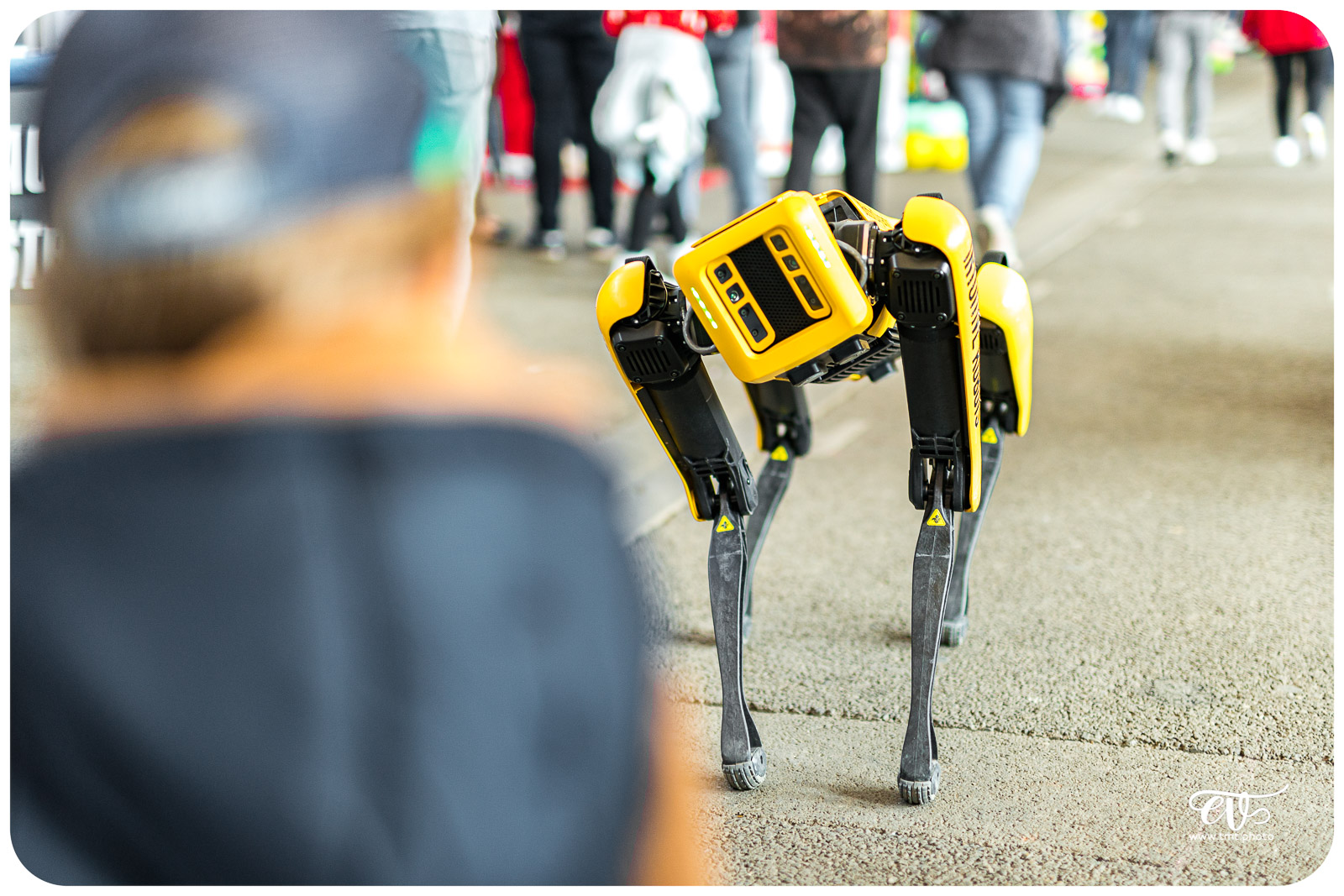 SPOT (BOSTON DYNAMICS)